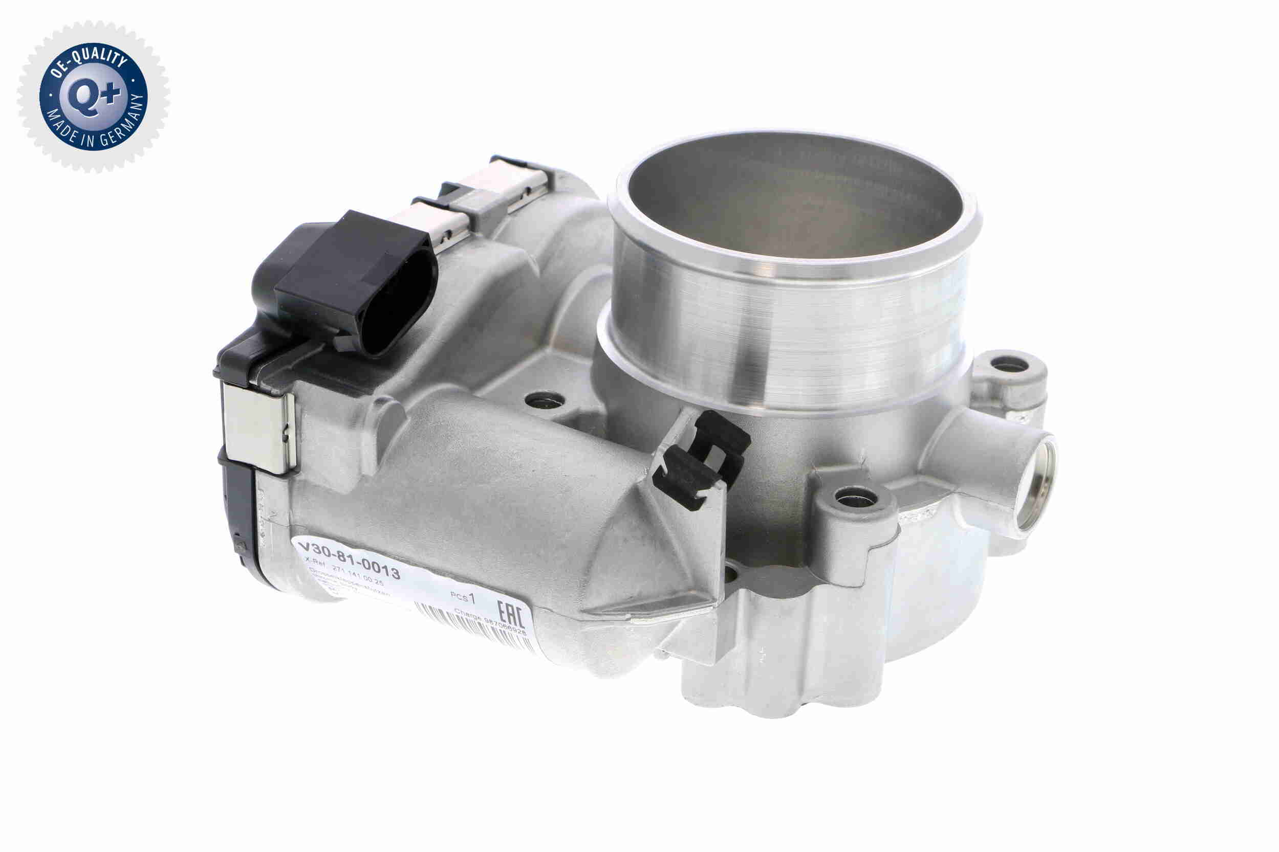 V30-81-0013