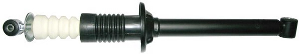 DSC003O