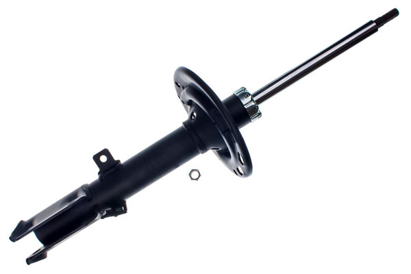 DSB309G