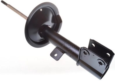 DSB101G