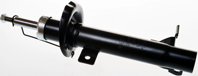 DSB194G