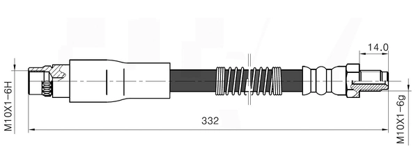 NBH6019