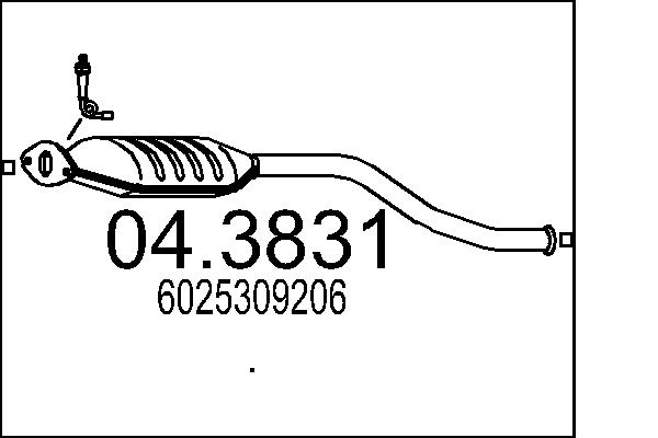 6025309206