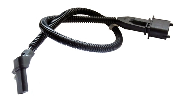 CSS719