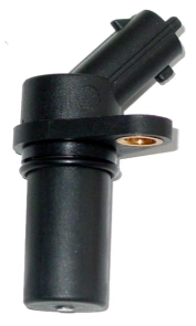 CSS713