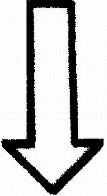 19255884