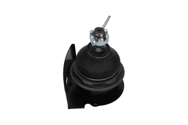 SBJ-3038