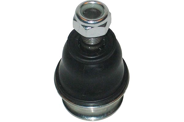 SBJ-3004