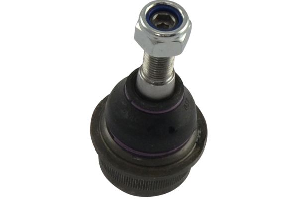 SBJ-6547