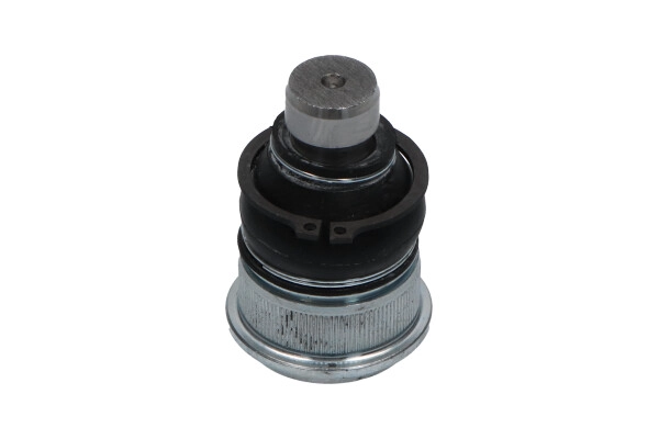 SBJ-6563