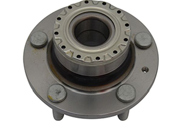 WBH-3024