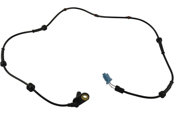BAS-6569