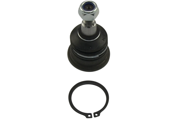 SBJ-3035