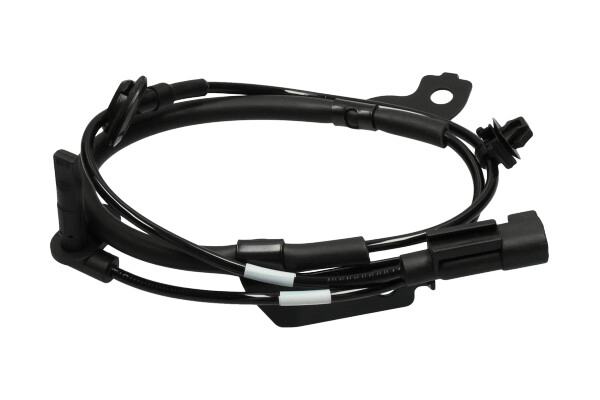 BAS-5520