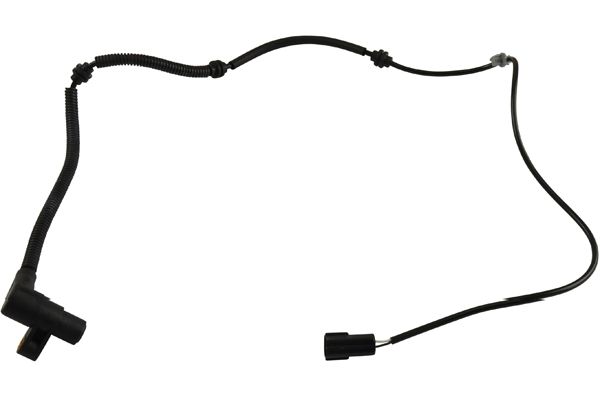 BAS-3002