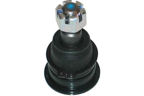 SBJ-6538