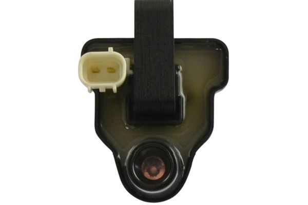 ICC-4534