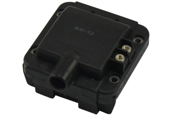 ICC-2030