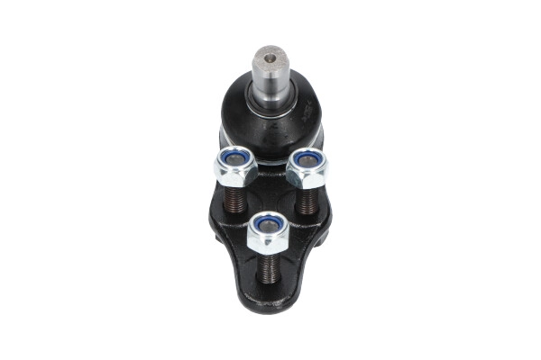 SBJ-1004