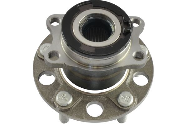 WBH-5536