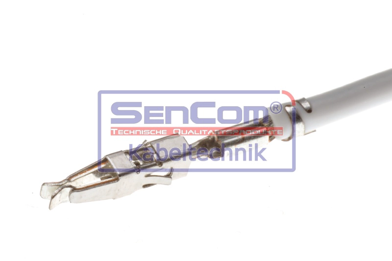 SKR1010
