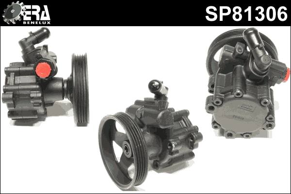 SP81306