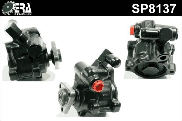 SP8137