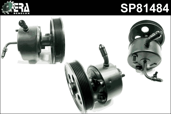 SP81484