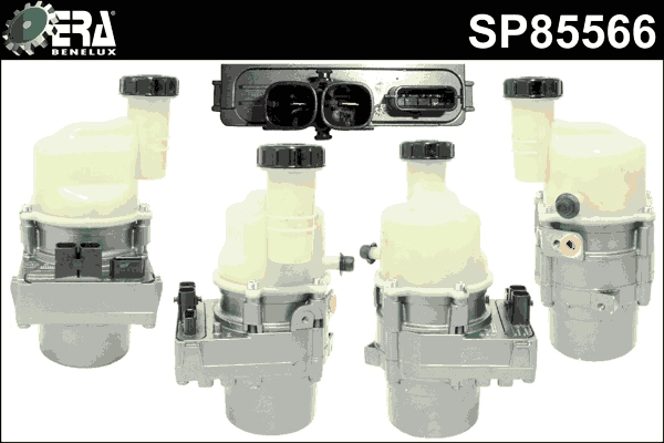 SP85566