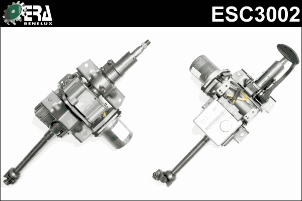 ESC3002