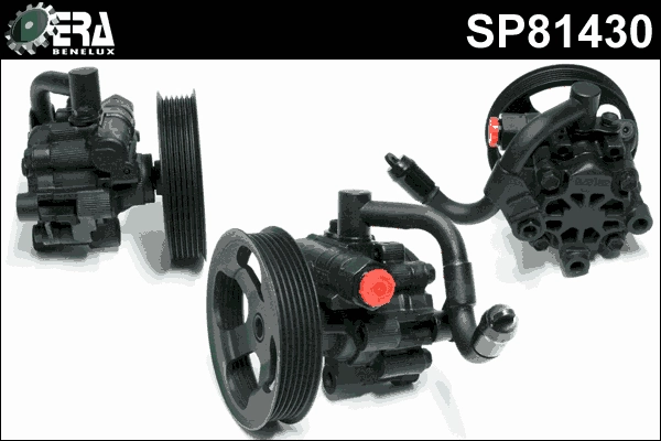 SP81430