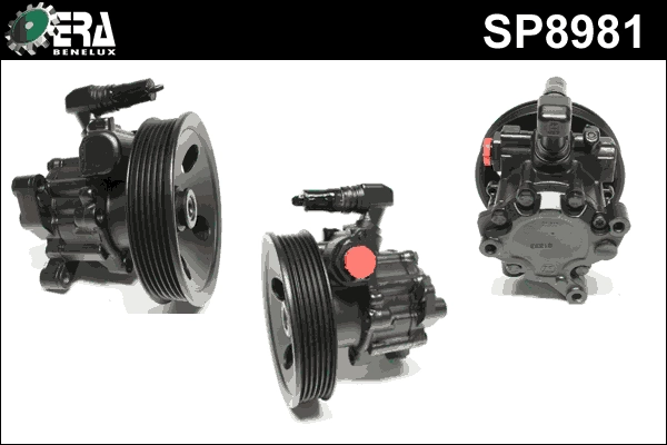 SP8981
