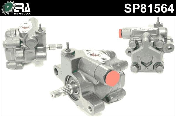 SP81564