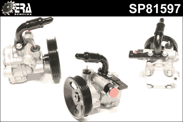 SP81597