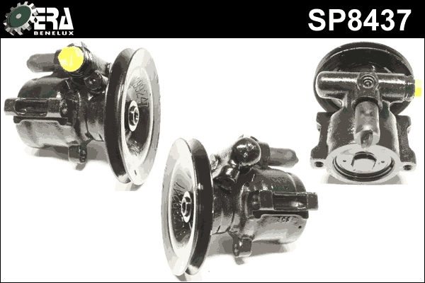 SP8437