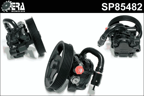 SP85482