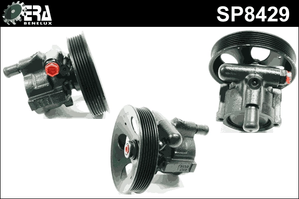 SP8429