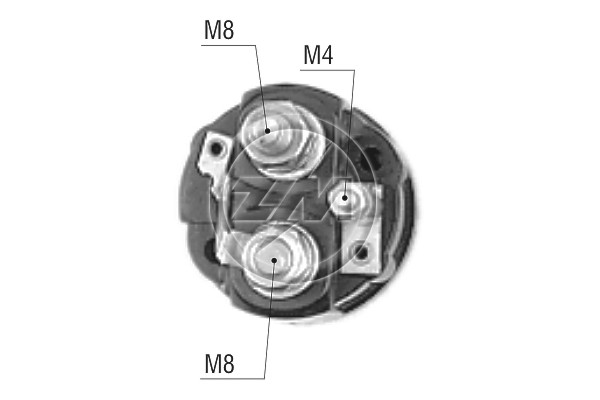 ZM66496