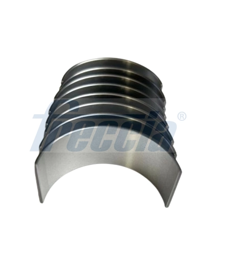 CR19-100600