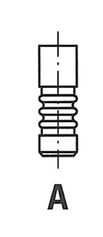 R6697/BMARCR