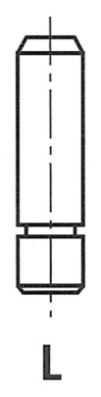 G11247