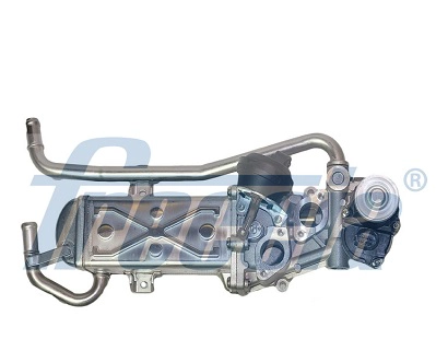 EGR12-127