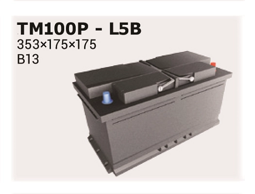 TM100P