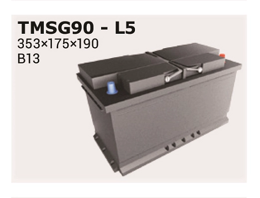 TMSG90
