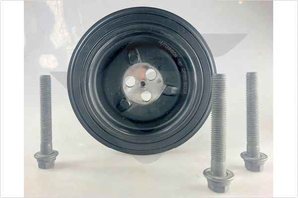 DP111S