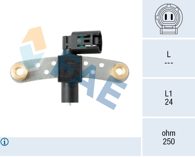 79027