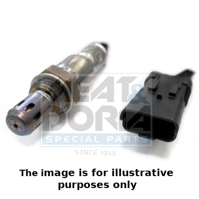 81817E