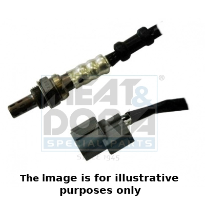 81650E