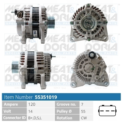55351019