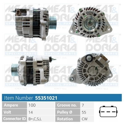 55351021